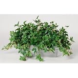 House of Silk Flowers Artificial Maple Ivy Ledge Plant Zinc Cont. 33w x 19h by House of Silk Flowers