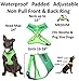 Friendly (Known as Friendly to All) Green Colour Coded Non-Pull Front and Back D Ring Padded and Waterproof Vest Dog Harness Prevents Accidents by Warning Others of Your Dog in Advance (M)