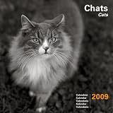 2009 CAL 30X30 CHATS NB