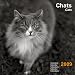 2009 CAL 30X30 CHATS NB 2009 CAL 30X30 CHATS NB