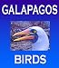 Galapagos Islands Birds in Herman Melville's "The Encantadas or Enchanted Isles" Illustrated with Wildlife Photographs from Ecuador's Galapagos Archipelago made famous by Charles Darwin