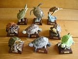 ネイチャー テクニカラー 日本のカメ 全9種 スッポン ウミ 亀 全9種 1 タイマイ 2 ミシシッピアカミミガメイメージ