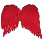 Red Feather Angel Wings