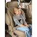 Diono Sure Fit Seat Belt Positioner (Black)