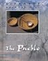 The Pueblo (Lifeways)