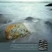 The Power of Now 2012 Wall Calendar