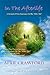 In The Afterlife: A Chronicle Of Our Experiences On The 