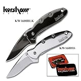 KW1600SS - KERSHAW CHIVE SS