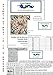 Orenco Originals Heraldry Lion by William Morris Counted Cross Stitch Pattern