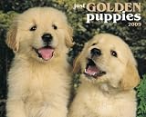 Just Golden Puppies 2009 Calendar (Just)