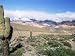 Cardones Growing in the Desert at 3000 Metres, Near Alfarcito, Jujuy, Argentina, South America Photographic Poster Print by Lousie Murray, 32x24