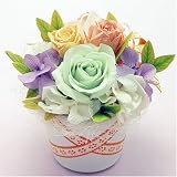プリザーブドフラワー【芽生え】グリーン