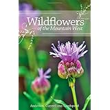 wildflowers of the mountain west