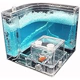 BBcute Trading Limited Company Ant Nursery Farm Maze with Feeding System