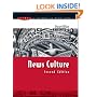 News Culture (Issues in Cultural & Media Studies)
