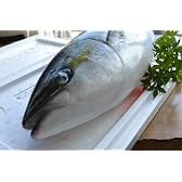お刺身用長崎県産活はまち４Kg前後【お正月に食べると縁起が良い出世魚です！！