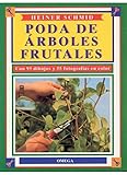 Poda de árboles frutales