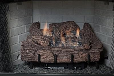 Palmetto Oak 30