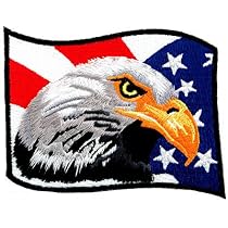 American Flag Bald Eagle Embroidered Patch Patriotic Iron-On Bird Emblem