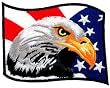 American Flag Bald Eagle Embroidered Patch Patriotic Iron-On Bird Emblem