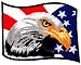 American Flag Bald Eagle Embroidered Patch Patriotic Iron-On Bird Emblem