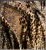 Soft Cozy Blanket - Leopard Print