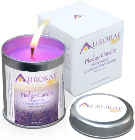 100% Soy Wax Scented Aromatherapy Candle by Aurorae: All Natural Pledge / Meditation Candles ~ Soy ~ Clean ~ Aromatherapy ~ Non Toxic ~ Choose from 9 Scents