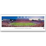 North Carolina State Wolfpack Carter-Finley Stadium Panoramic Print