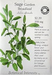 Garden Sage Certified Organic Seeds