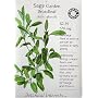 Garden Sage Certified Organic Heirloom Seeds 65 Seeds