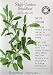 Sage Certified Organic Seeds