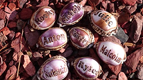 'Bethany' Personalized Name Engraved on a Tiger Cowrie Seashell. Hand Made - All Natural - Say It On A Shell