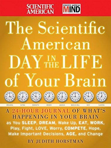 The Scientific American Day in the Life of Your Brain