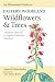An Illustrated Guide to Eastern Woodland Wildflowers and                 Trees: 350 Plants Observed at Sugarloaf Mountain, Maryland (Center Books)