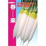 �t�y (�i���g��z) ����:4ml