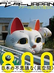 ワンダーJAPAN 日本の不思議な《異空間》800 (三才ムック vol.638)