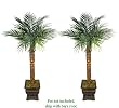 TWO 6' Artificial Phoenix Coconut Palm Trees Bendable with Real Coconut Bark Wrapped Trunks, with No Pot