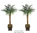 TWO 6' Artificial Phoenix Coconut Palm Trees Bendable with Real Coconut Bark Wrapped Trunks, with No Pot