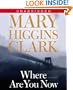 Where Are You Now?: A Novel
