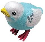 愛鳥倶楽部 ヒナドリ 04 インコ