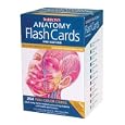 Barron's Anatomy Flash Cards, 2nd Edition by Kurt Albertine Ph.D.