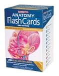 Barron's Anatomy Flash Cards