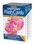 Barron's Anatomy Flash Cards, 2nd Edition