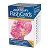 Barron's Anatomy Flash Cards