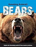 Bears