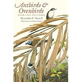 antbirds and ovenbirds their lives and homes corrie herring hooks series