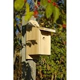 Chickadee Joy Box Bird House