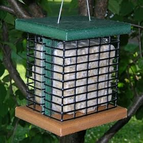 Looker Poly Double Suet Bird Feeder by