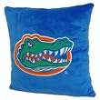 NCAA Florida Gators 16-Inch Polyester Felt Plush Pillow