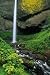 Latourell Falls in Columbia River Gorge - 24"H x 16"W - Peel and Stick Wall Decal by Wallmonkeys